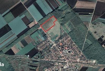 Teren de 100000 mp, în Lehliu - 1