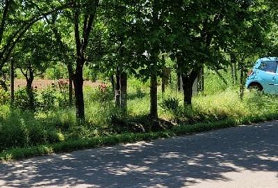 Teren Construcții intravilan în Răsimnicea - 1