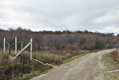 Teren Construcții extravilan de 4385 mp, în Dealuri Oradea - 2