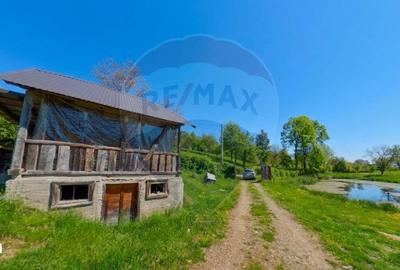 Casă cu 4 camere cu Teren 10130 Mp în Desești - 2