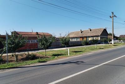 Casă cu 4 camere în Macea - 2