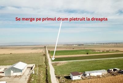 Teren agricol extravilan de 1100 mp, în Codlea - 4