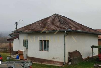 Casă cu 3 camere cu Teren 3570 Mp în Fodora