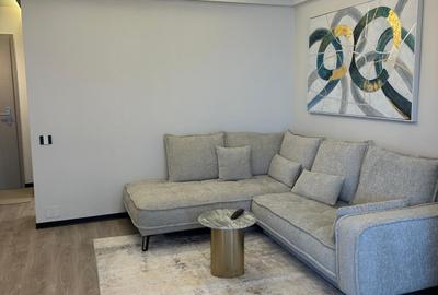 Apartament cu 2 camere semidecomandat în Sopor - 5