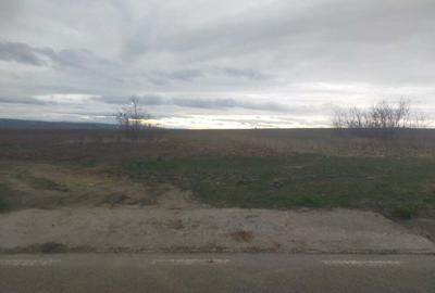 Teren de 5000 mp, în Central - 2