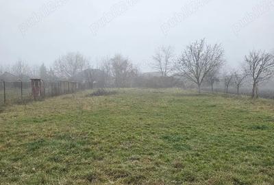 Casă cu Teren 2222 Mp în Dârlos - 7