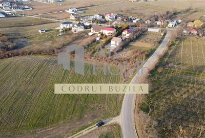 Teren Construcții intravilan de 2500 mp, în Chițorani - 5