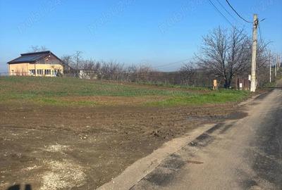 Teren de 5000 mp, în Glina - 3