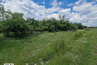 Teren de 3006 mp, în Mărășești - 8