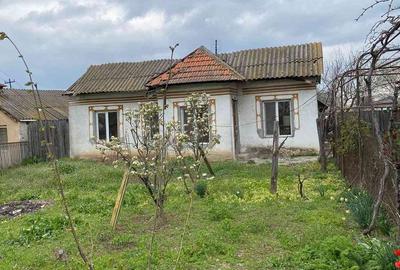 Casă cu 4 camere cu Teren 1023 Mp în Milcov - 4