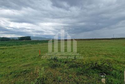 Teren Construcții intravilan de 450 mp, în Partoș - 1