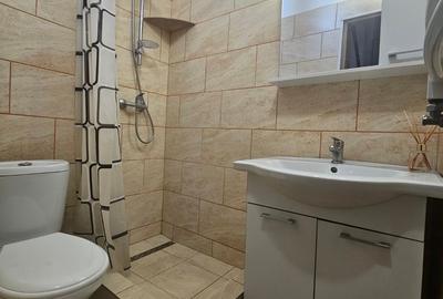 Apartament cu 2 camere decomandat, mobilat în Gara de Nord - 12
