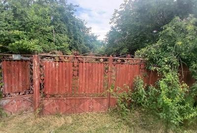 Teren de 1500 mp, în Piorești - 3