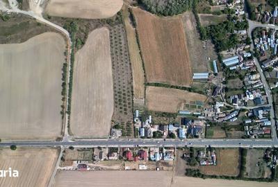 Teren de 9654 mp, în Dobra - 1