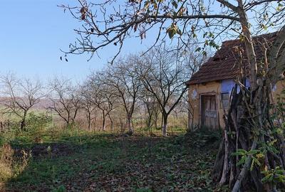 Teren Construcții intravilan de 2583 mp, în Sântelec - 1