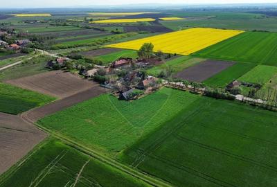 Casă individuală cu 3 camere cu Teren 5000 Mp în Craidorolț - 6