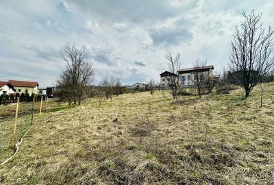 Teren Construcții intravilan de 2200 mp, în Europa - 1