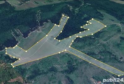 Teren de 480000 mp, în Prunișor - 7