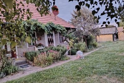 Duplex cu 4 camere cu Teren 2840 Mp în Dobolii de Sus - 2