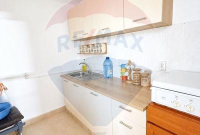Casă cu 4 camere cu Teren 248 Mp în Ocna Șugatag - 4
