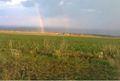 Teren în Valea Lupului - 2