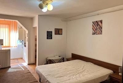 Garsonieră semidecomandată în Ultracentral - 5