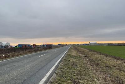Teren de 9500 mp, în Remetea Mare - 7