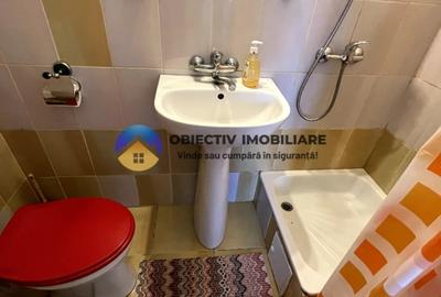Hotel/Pensiune, de 250 mp, în Dumbrava Roșie - 12