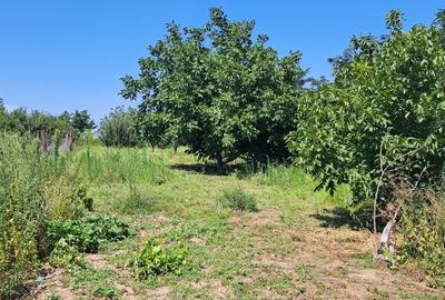 Casă cu 4 camere în Drăghiceni