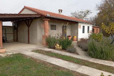Casă cu 2 camere în Vaida - 5