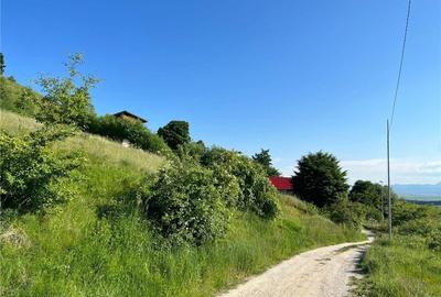 Teren de 4100 mp, în Sălicea - 1