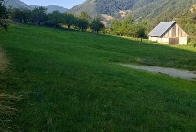 Teren de 2000 mp, în Râu Sadului