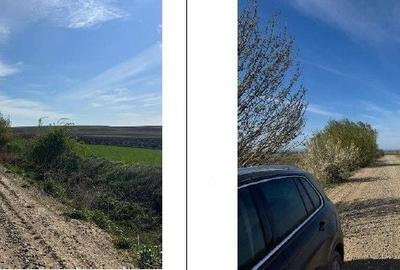 Teren de 3600 mp, în Corni - 8
