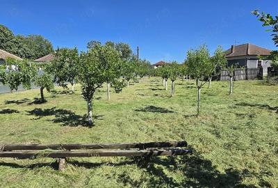 Casă cu Teren 2350 Mp în Jiana - 5