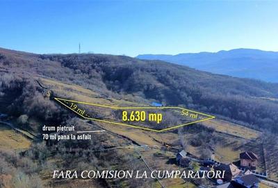 Teren Construcții intravilan de 8630 mp, în Est - 3