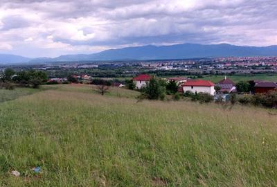 Teren Construcții intravilan de 6500 mp, în Gușterița - 6
