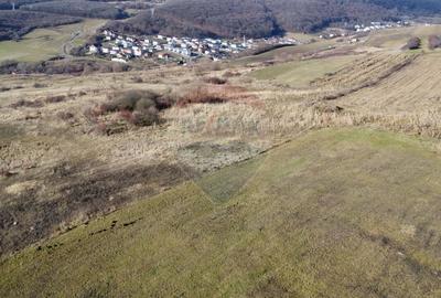 Teren agricol extravilan de 68403 mp, în Popești - 12