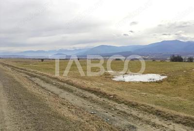 Teren de 10000 mp, în Central