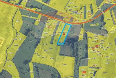 Teren Construcții intravilan de 9010 mp, în Est - 5