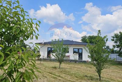 Casă individuală cu 5 camere cu Teren 4242 Mp în Vânători-Neamț - 49