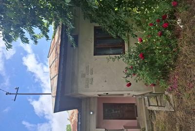 Casă cu Teren 2100 Mp în Vulpeni - 4
