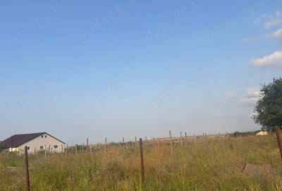 Teren de 5000 mp, în Mineri - 4
