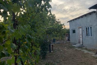 Casă cu 5 camere cu Teren 936 Mp în Robănești