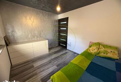 Apartament cu 3 camere decomandat, mobilat în Lăpuș Argeș - 10