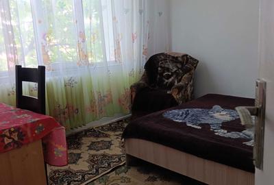 Apartament cu 2 camere decomandat în Tătărași - 11