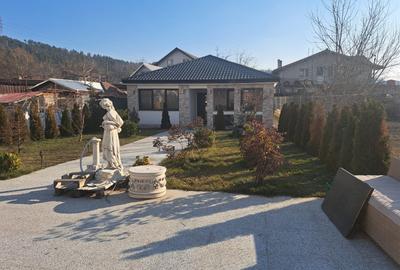 Casă cu 3 camere cu Teren 554 Mp în Frumoasa - 3