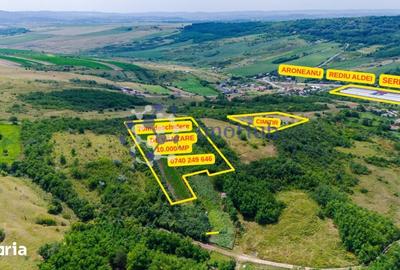 Teren de 10000 mp, în Aroneanu - 4