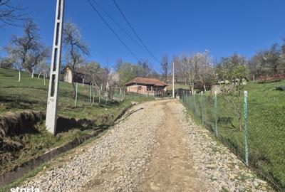 Casă cu 3 camere cu Teren 2586 Mp în Central - 11