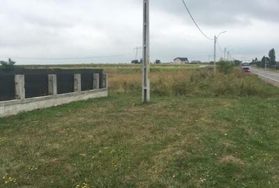 Teren de 4800 mp, în Spătărești - 5