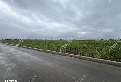Teren de 9000 mp, în Central